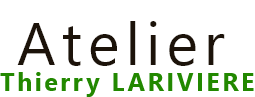 Thierry Larivière Logo
